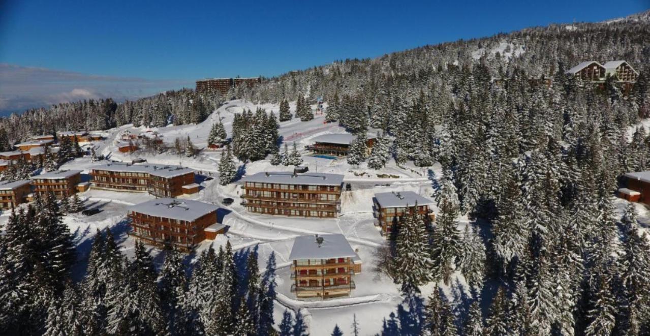Le Cocon 4 Saisons A Chamrousse 1700 - Droseras A14 - Les Villages Du Bachat 외부 사진
